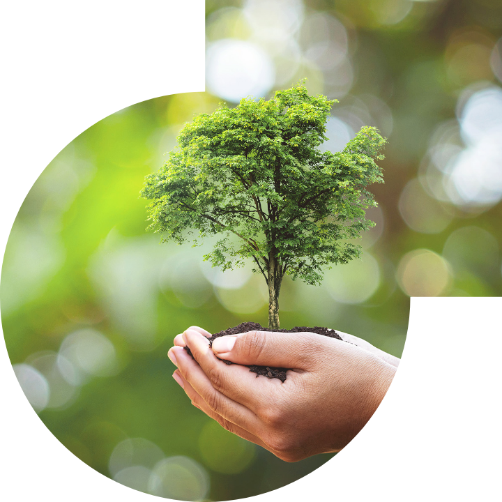 关怀人类、文化、环境与社会